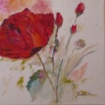 coquelicot